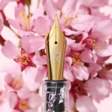 ESTIE X BUNGUBOX CHERRY BLOSSOM Regular Size Golden Trim Füllfederhalter ltd. Edition